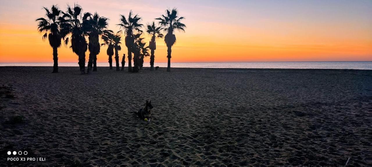 Encantador Apto En La Playa コマルガ エクステリア 写真