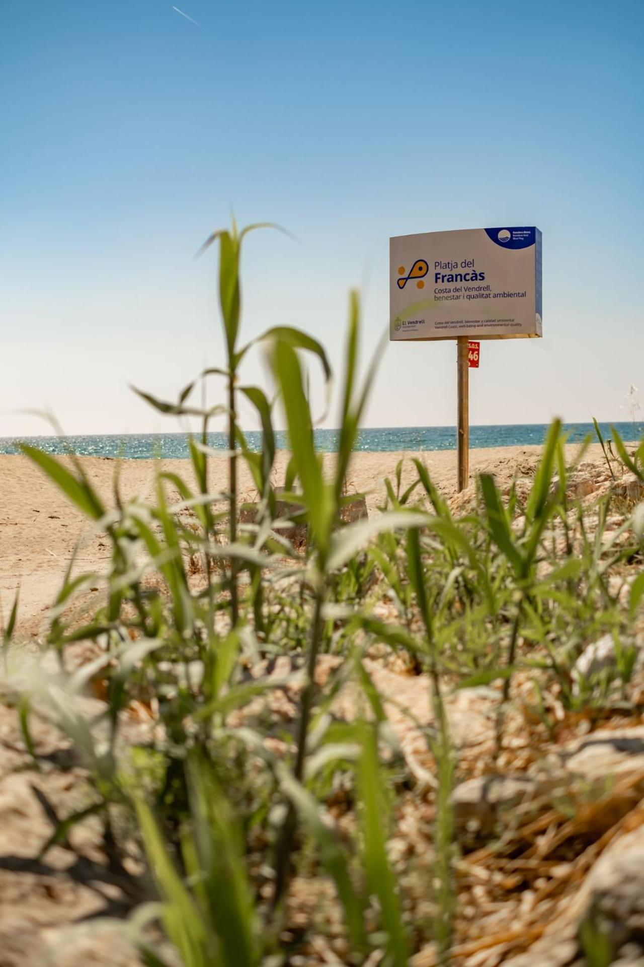 Encantador Apto En La Playa コマルガ エクステリア 写真