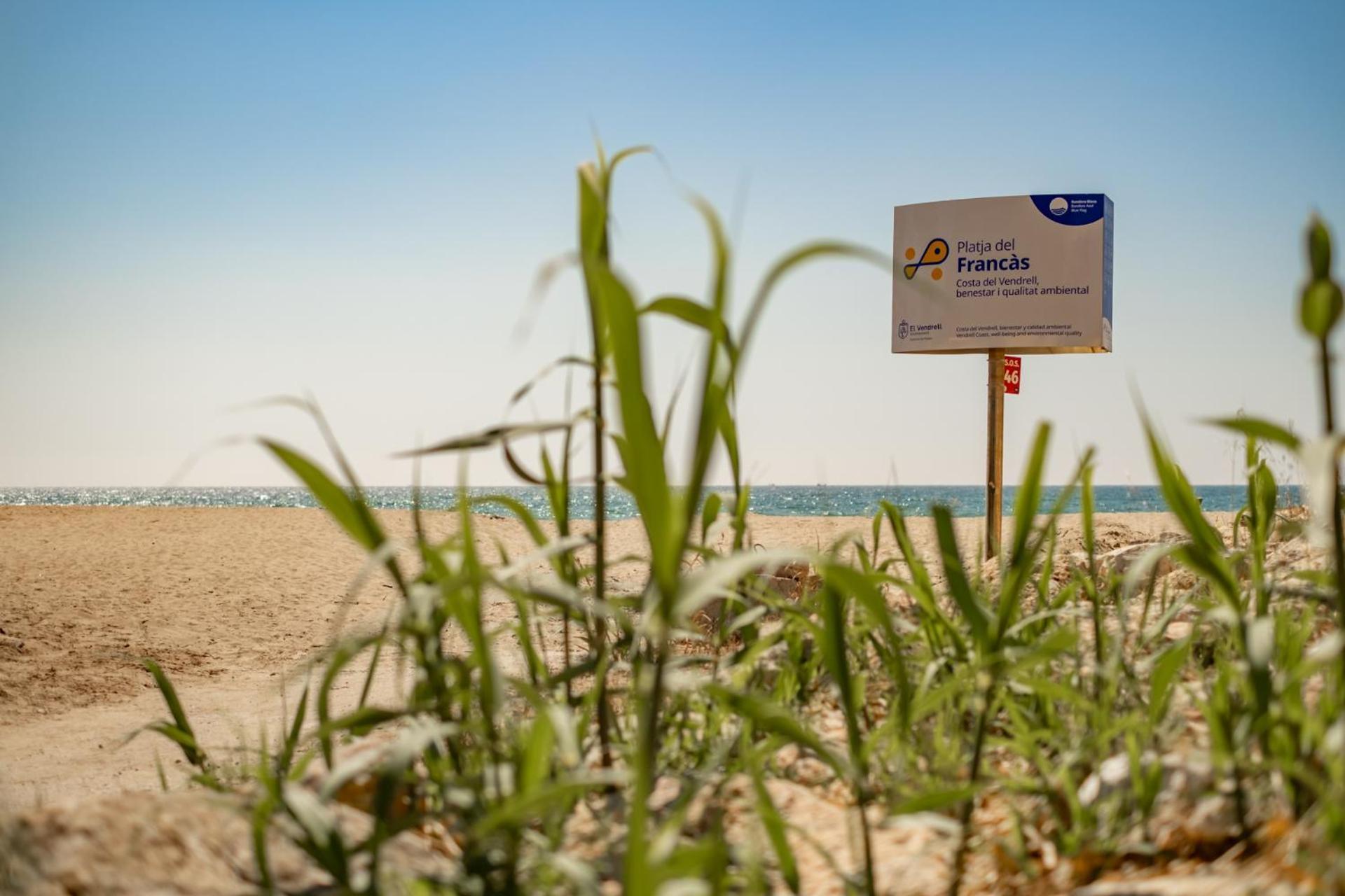 Encantador Apto En La Playa コマルガ エクステリア 写真