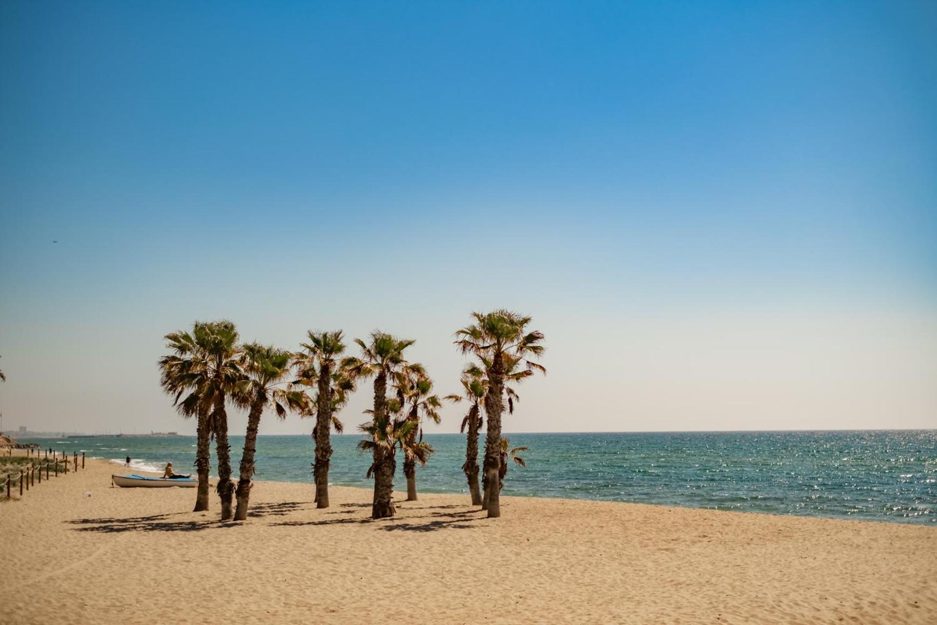 Encantador Apto En La Playa コマルガ エクステリア 写真